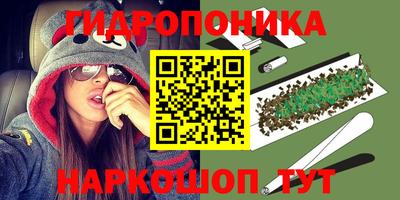 гашик Пушкино