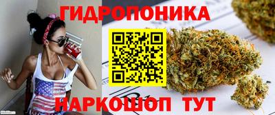 гашик Пушкино