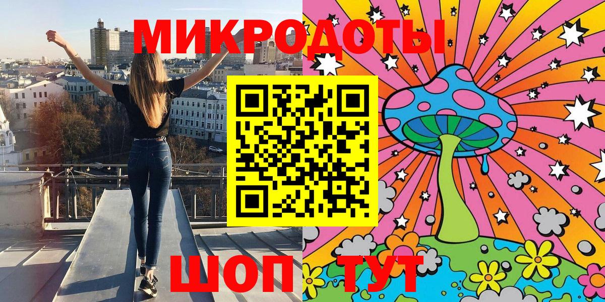 Осинники  Галлюциногенные грибы Psilocybe  Вход с VPN 