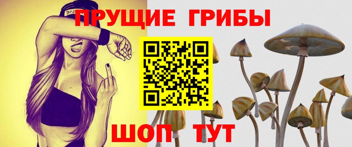 Псилоцибиновые грибы ЛСД Осинники